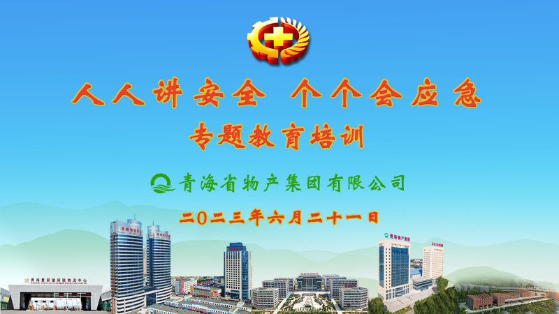 提高安全管理水平 落實(shí)全員安全責(zé)任——集團(tuán)安委會(huì)舉辦2023年“人人講安全，個(gè)個(gè)會(huì)應(yīng)急”專題教育培訓(xùn)